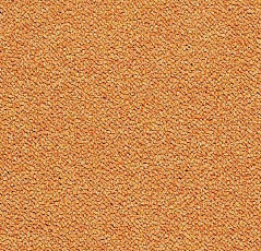 Ковровая плитка Tessera Chroma 3623 Tangerine фото 1 | FLOORDEALER